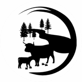 cropped cropped favicon.png